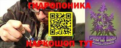 крисы Жуковский
