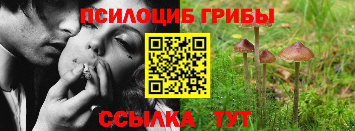 Луховицы  Галлюциногенные грибы Cubensis  Вход с VPN 