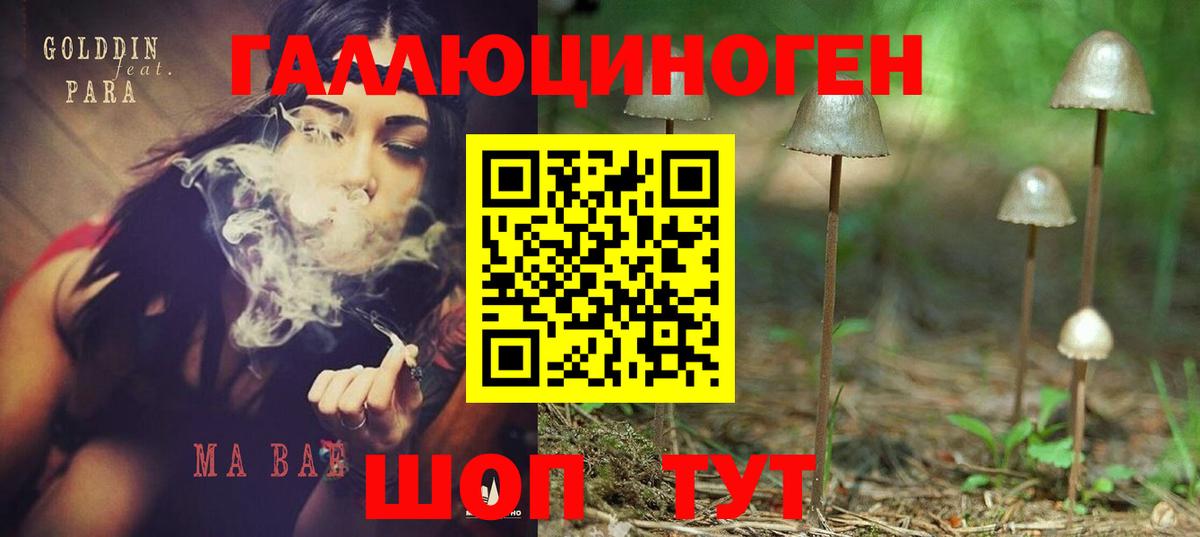 Псилоцибиновые грибы Cubensis Луховицы